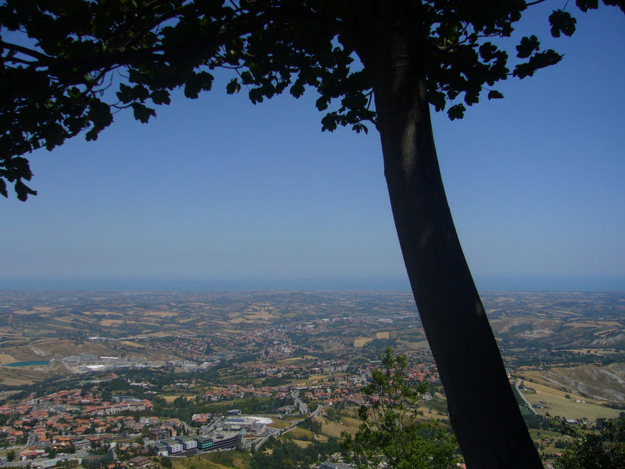 Landscape under a tree