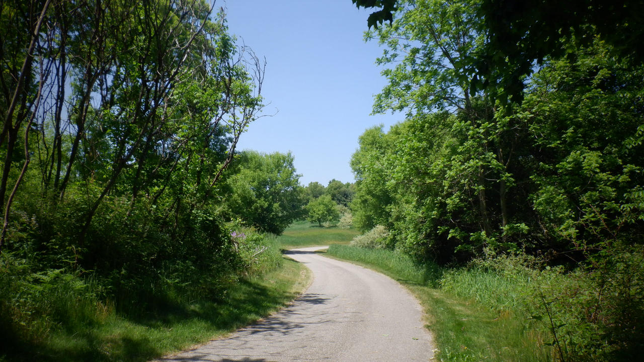 Winding path by xiljy on DeviantArt
