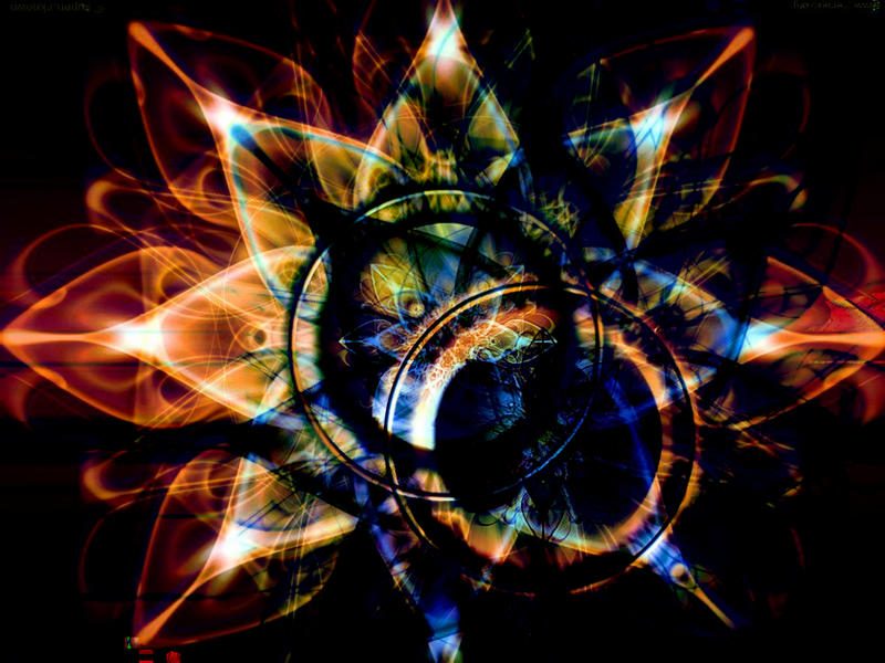 Sunflower by Freedomoftheart on DeviantArt