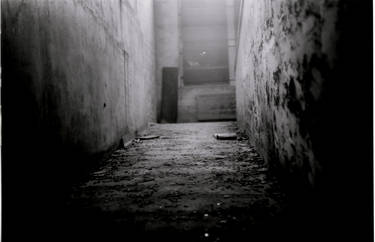 the dark hallway