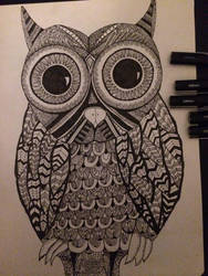 Owl