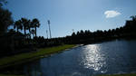 Pond at The Commons by Timitu