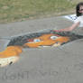 First 3D Chalk Painting