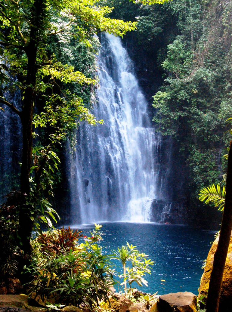 Формат вертикального фото. Красивые водопады. Пейзаж водопад. Водопад вертикальный. Водопад высокое разрешение.