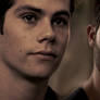 Sterek