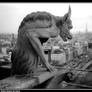 Parisian Gargoyle