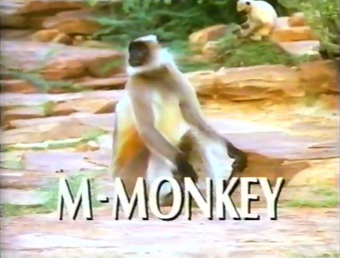 M-Monkey by Kidsongs07 on DeviantArt