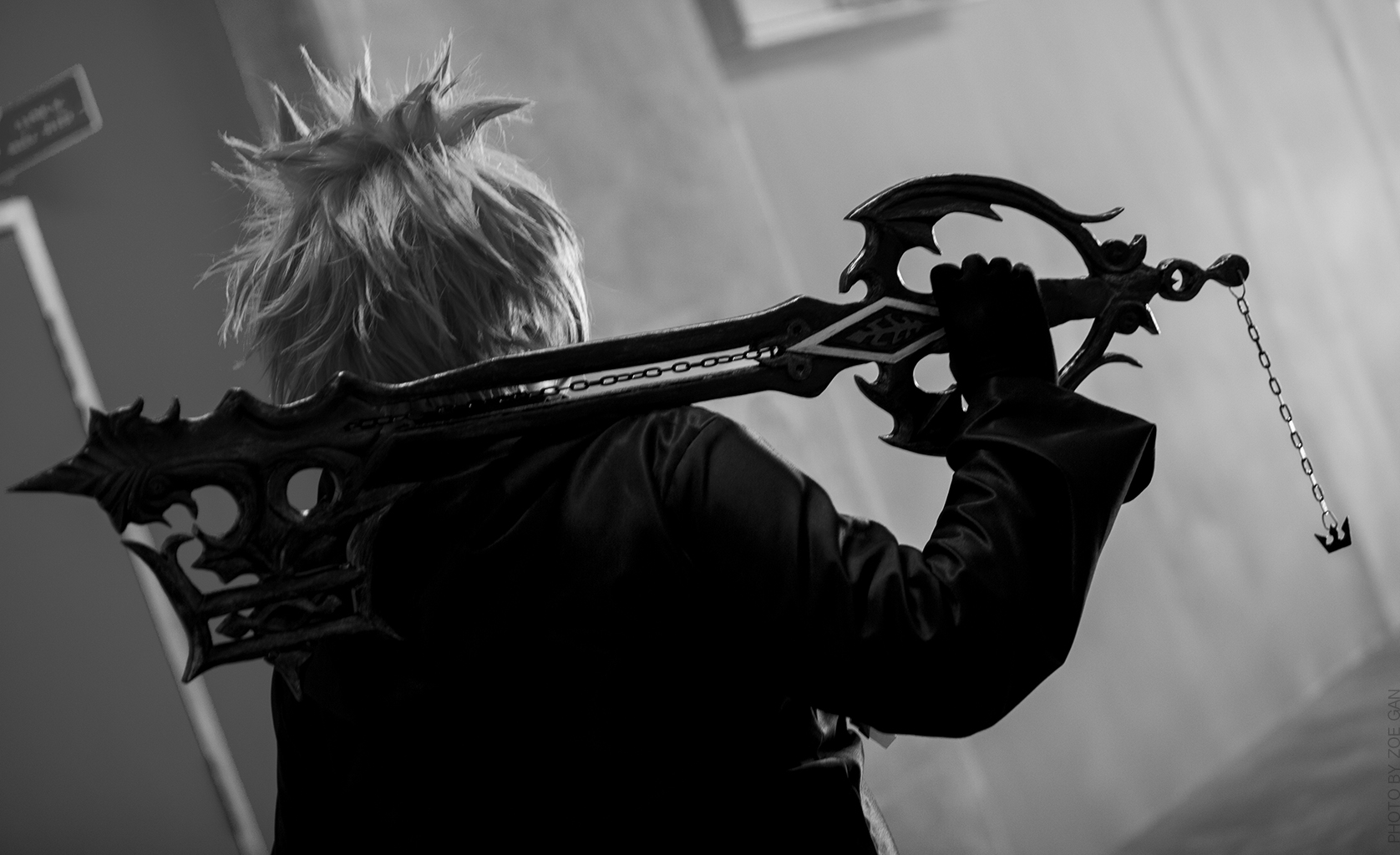 ORG XIII - Roxas