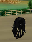 TLEC First Annual Training Show - Mystic (2) by xThe5thMarauderx