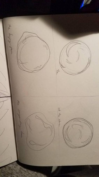 rough draft by beautyqueentrex on DeviantArt