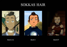 Sokkas Hair