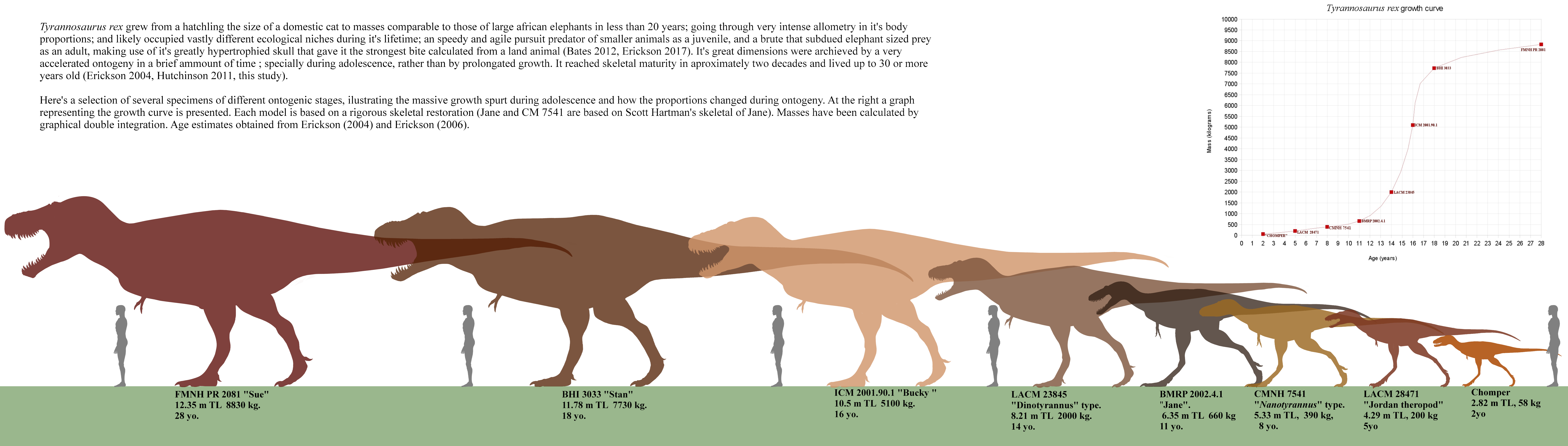 Tyrannosaurus rex - Página 5 Da3k5zl-0dc1dc90-b0e3-49cd-8358-32d758ab63ea.png?token=eyJ0eXAiOiJKV1QiLCJhbGciOiJIUzI1NiJ9.eyJzdWIiOiJ1cm46YXBwOjdlMGQxODg5ODIyNjQzNzNhNWYwZDQxNWVhMGQyNmUwIiwiaXNzIjoidXJuOmFwcDo3ZTBkMTg4OTgyMjY0MzczYTVmMGQ0MTVlYTBkMjZlMCIsIm9iaiI6W1t7InBhdGgiOiJcL2ZcL2ViZmNlZjZiLTc2ZWMtNDU3Mi05ODFlLTI2ZmJlNGIyN2ZhYlwvZGEzazV6bC0wZGMxZGM5MC1iMGUzLTQ5Y2QtODM1OC0zMmQ3NThhYjYzZWEucG5nIn1dXSwiYXVkIjpbInVybjpzZXJ2aWNlOmZpbGUuZG93bmxvYWQiXX0
