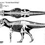 Tyrannosaurus rex skeletal diagram (FMNH PR 2081)