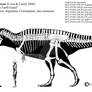 Mapusaurus roseae skeletal diagram.