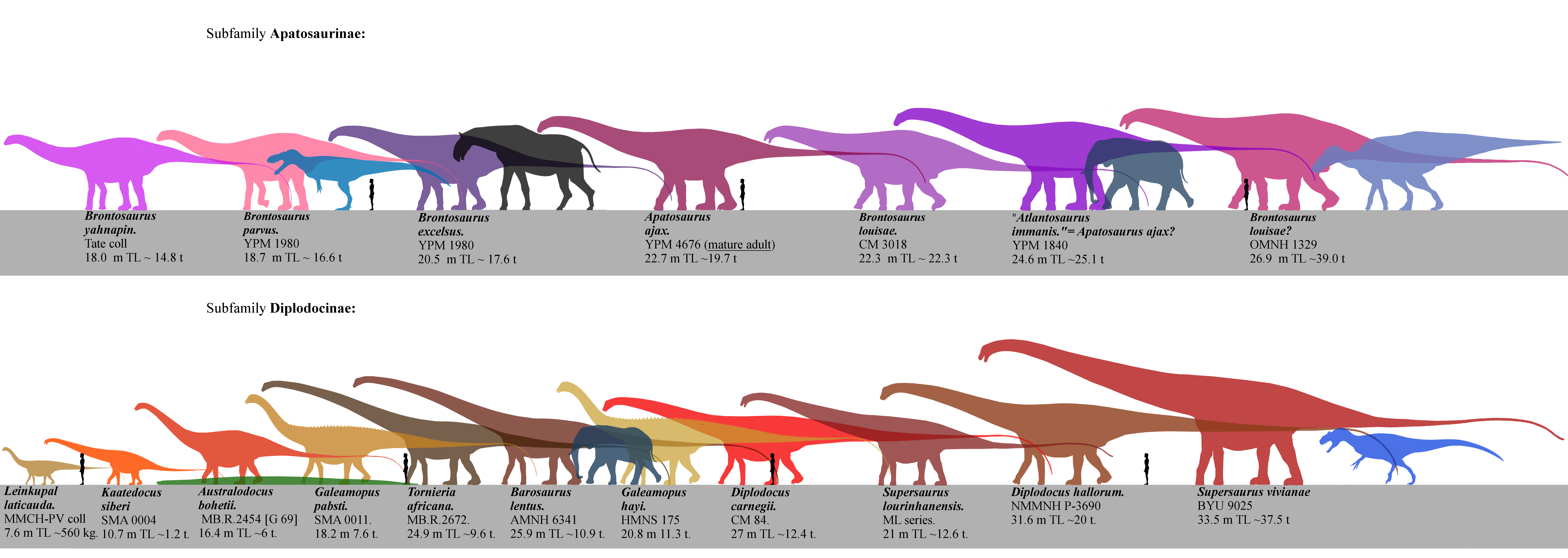 Diplodocids And Guests By Franoys On Deviantart Diplodocids And Guests By Franoys On Deviantart