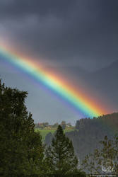 Heavy Rain-Bow