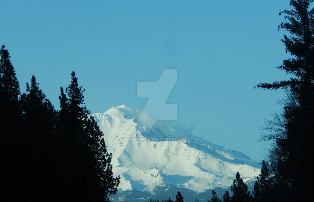 Mt. Shasta