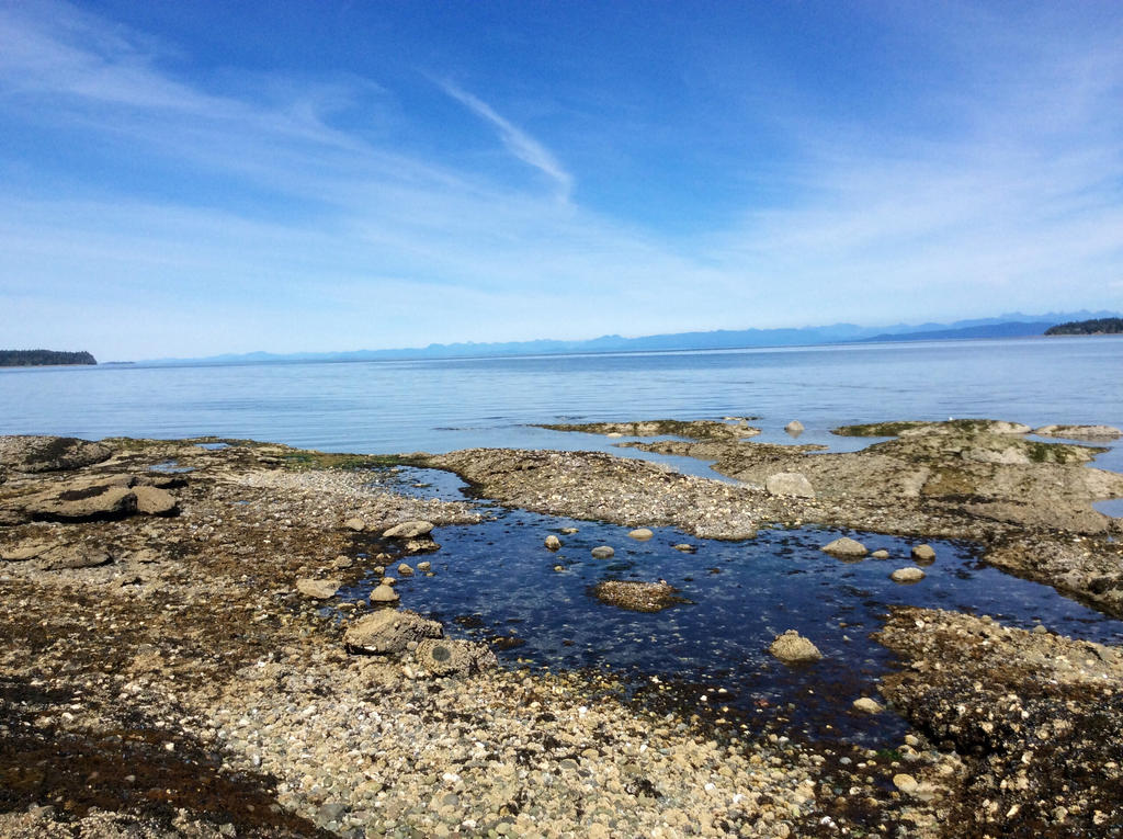 Blue Skies, Rocky Shores