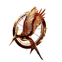 Catching fire icon