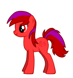 Jammie Pony