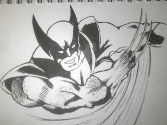 Wolverine