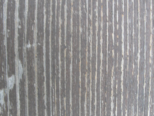 Rotten wood texture