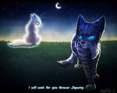 Just Jayfeather - Warriors Cats fanart by AngelDalet on DeviantArt