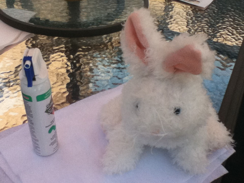 Flying Mint Bunny WIP 1 of 3 by snubby25 on DeviantArt