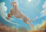 Cheetah Day Challenge 2012