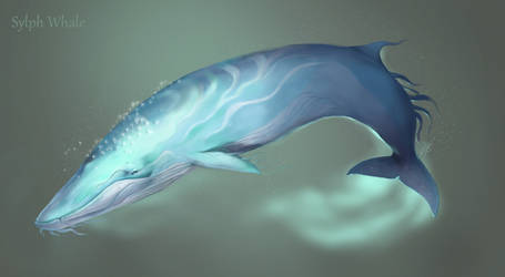 Sylphe Whale