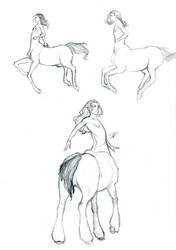 Sketch Centaur