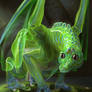 Glass Dragon