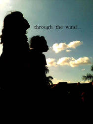 through the wind
