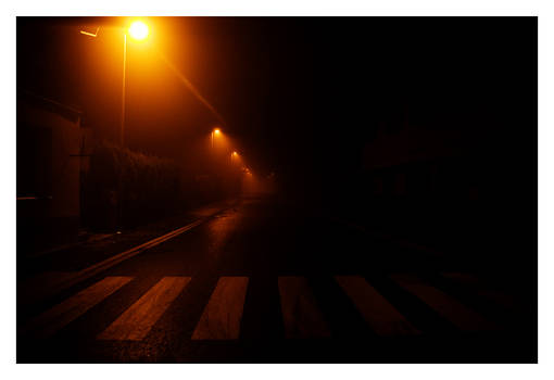 Foggy Night