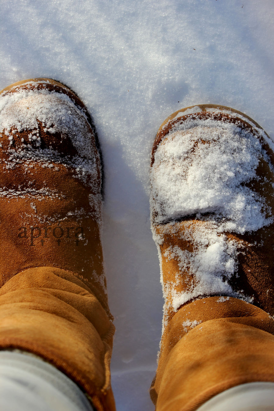 Walking in a Winter Wonderland