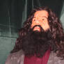 Hagrid