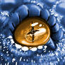 Dragon Eye