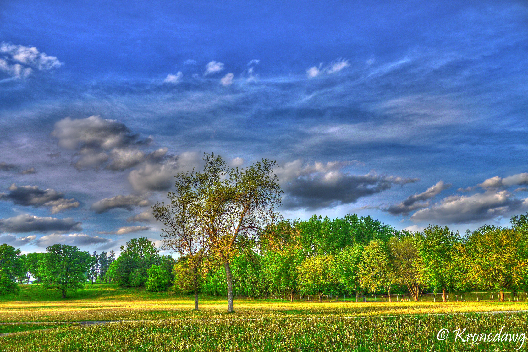 Field of dreams... not the movie