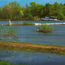 Boat on the River