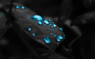 Blue drops