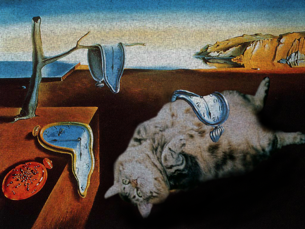 The Persistence of Cats by juliej97 on DeviantArt