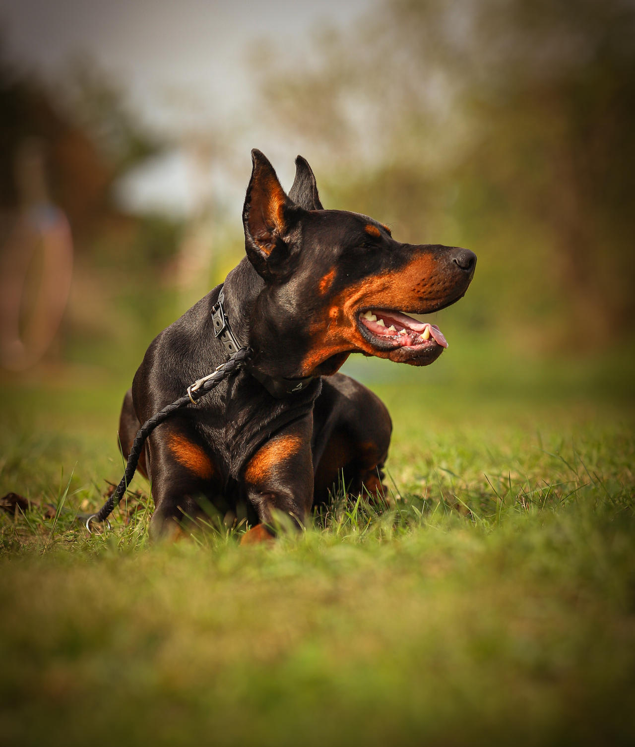doby by FuZoom on DeviantArt