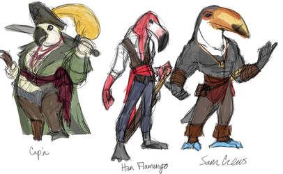 Pirate Bird Sketches