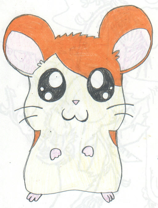 Hamtaro