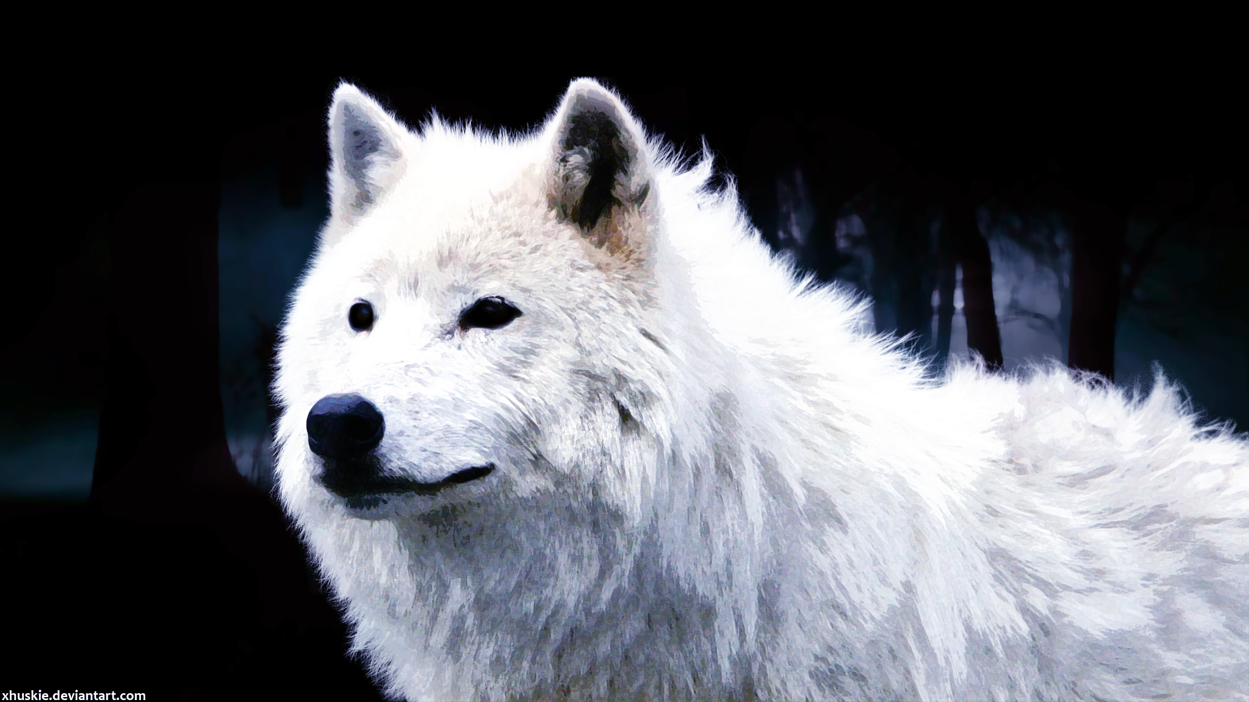 Arctic Wolf Wallpaper 2.0