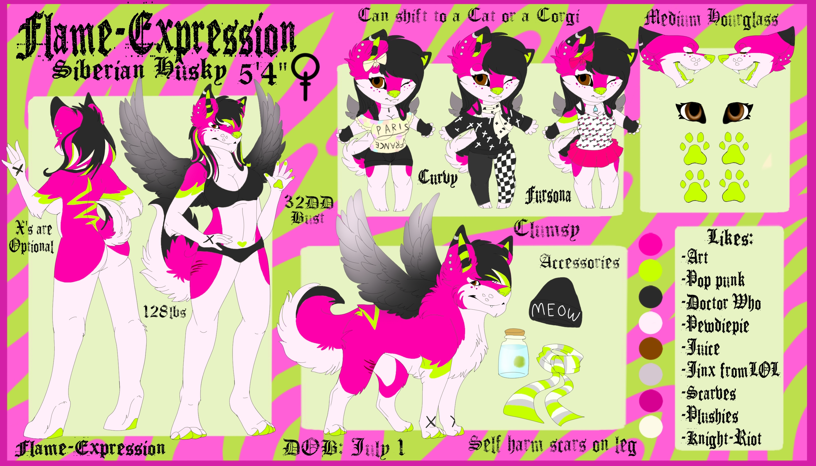 3.0 Fursona Ref 2015