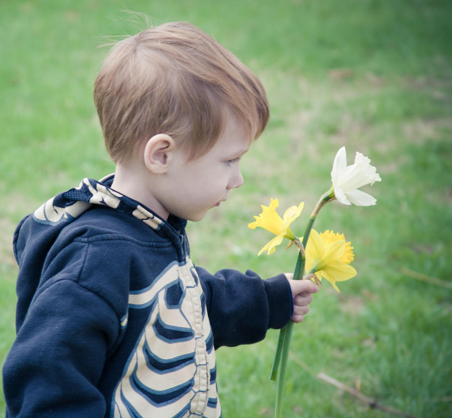 Jude's Flowers