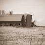 This Old Barn