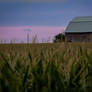 Broken Barn