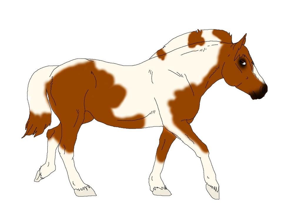 Eithe Reference by werewwulf on DeviantArt